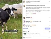 City of Ypsilanti Instagram