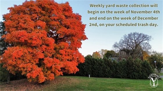 The fall colors are here and leaf season is about to begin! Weekly yard waste pickup will start on November 4th, 2024. The last week of yard waste collection will be the week of December 2nd, on your trash day.  Some helpful hints as the leaves fall:  Please set out leaves in brown paper yard waste bags!  Loose leaves will not be collected, and leaves in cans may freeze and stick in the can overnight as the weather turns colder.  Please remember that the maximum weight for bagged yard waste is 50 pounds.  It is illegal to blow or rake your leaves out into the street, or to pile them on the margin. Piles of leaves tend to blow into the street and into neighboring properties, and an accumulation of leaves in the street can block storm drains. Mulching leaves is good for your lawn!  Up to 6 inches of leaves can be mulched at a time, depending on your lawnmower. Mulched leaves not only return nutrients to the soil but can become a weed barrier.  Mulched leaves also can also be used in the garden as mulch. Leaving the leaves can help preserve our local pollinators!  Leaves and other yard waste can provide useful habitat for bees and other pollinators. 